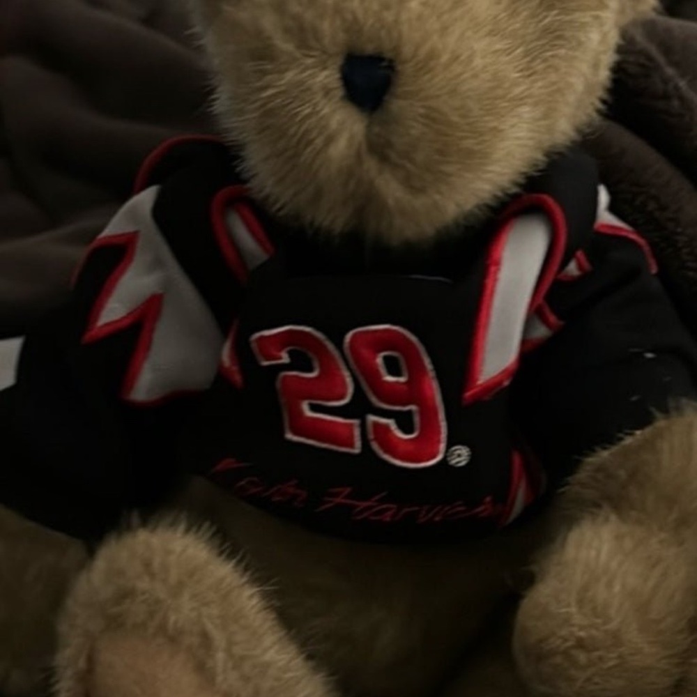 Kevin Harvick Bear #29 NASCAR